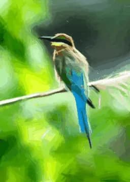 Painting process animation