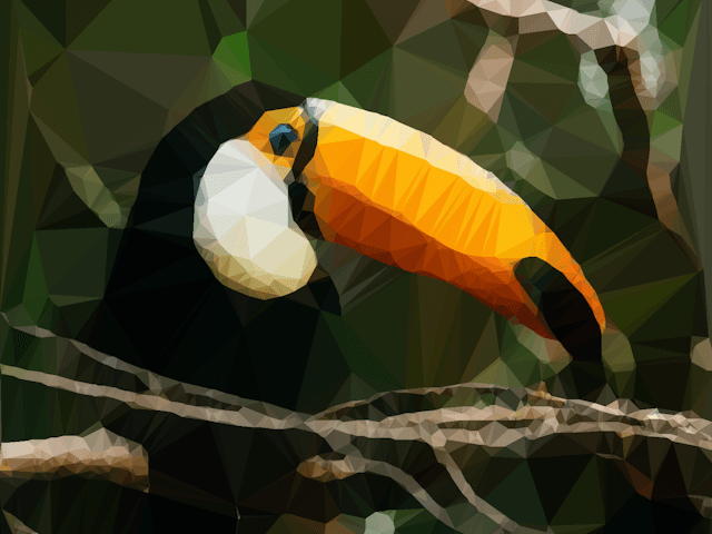 Toucan: Low Poly Effects